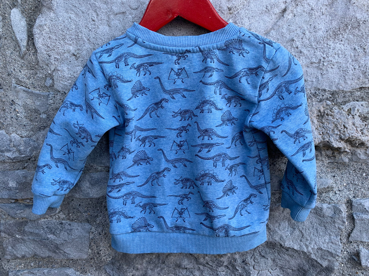 Dinosaurs sweatshirt   6-9m (68-74cm)