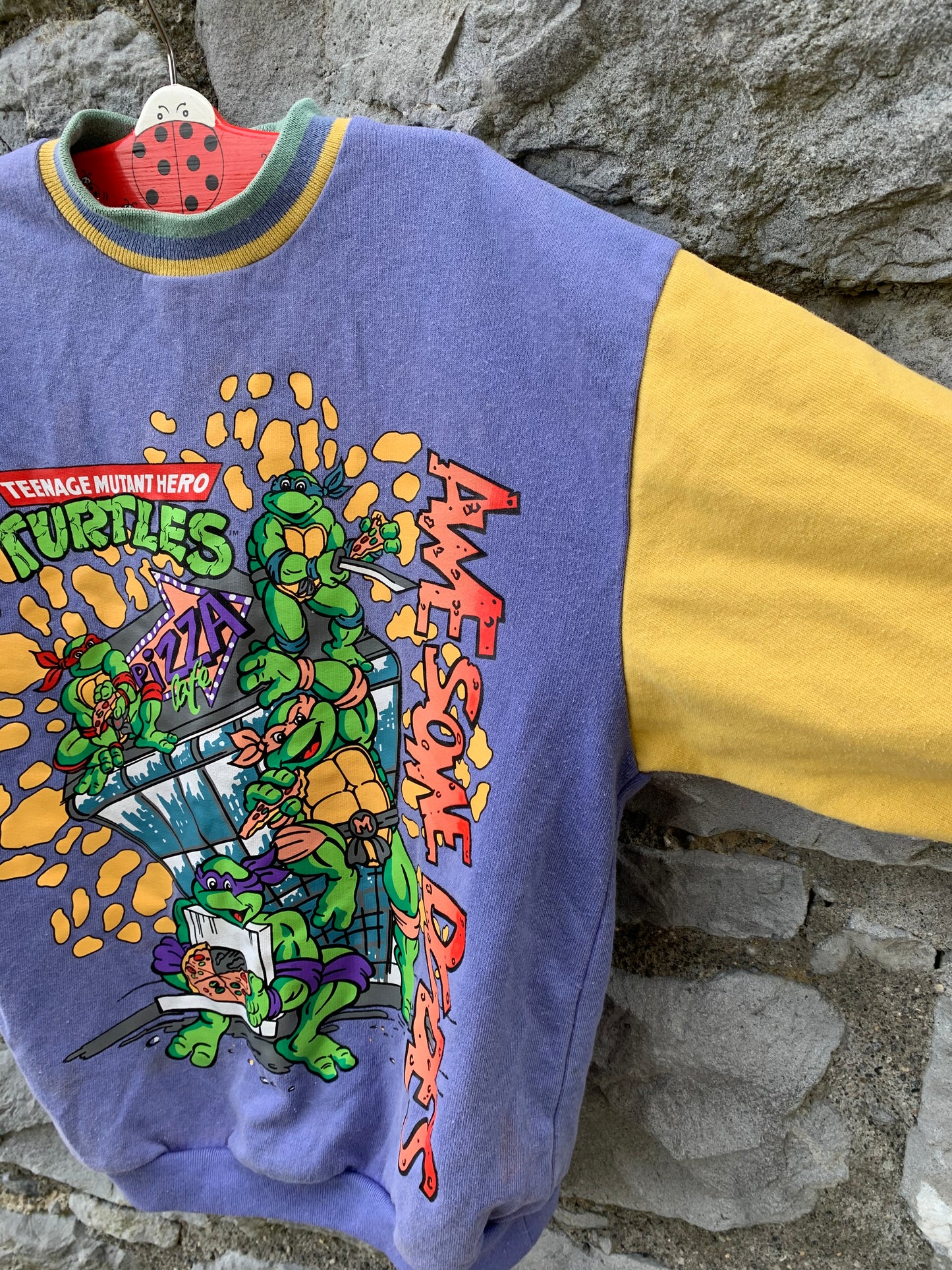 Vintage ninja turtles sweatshirt