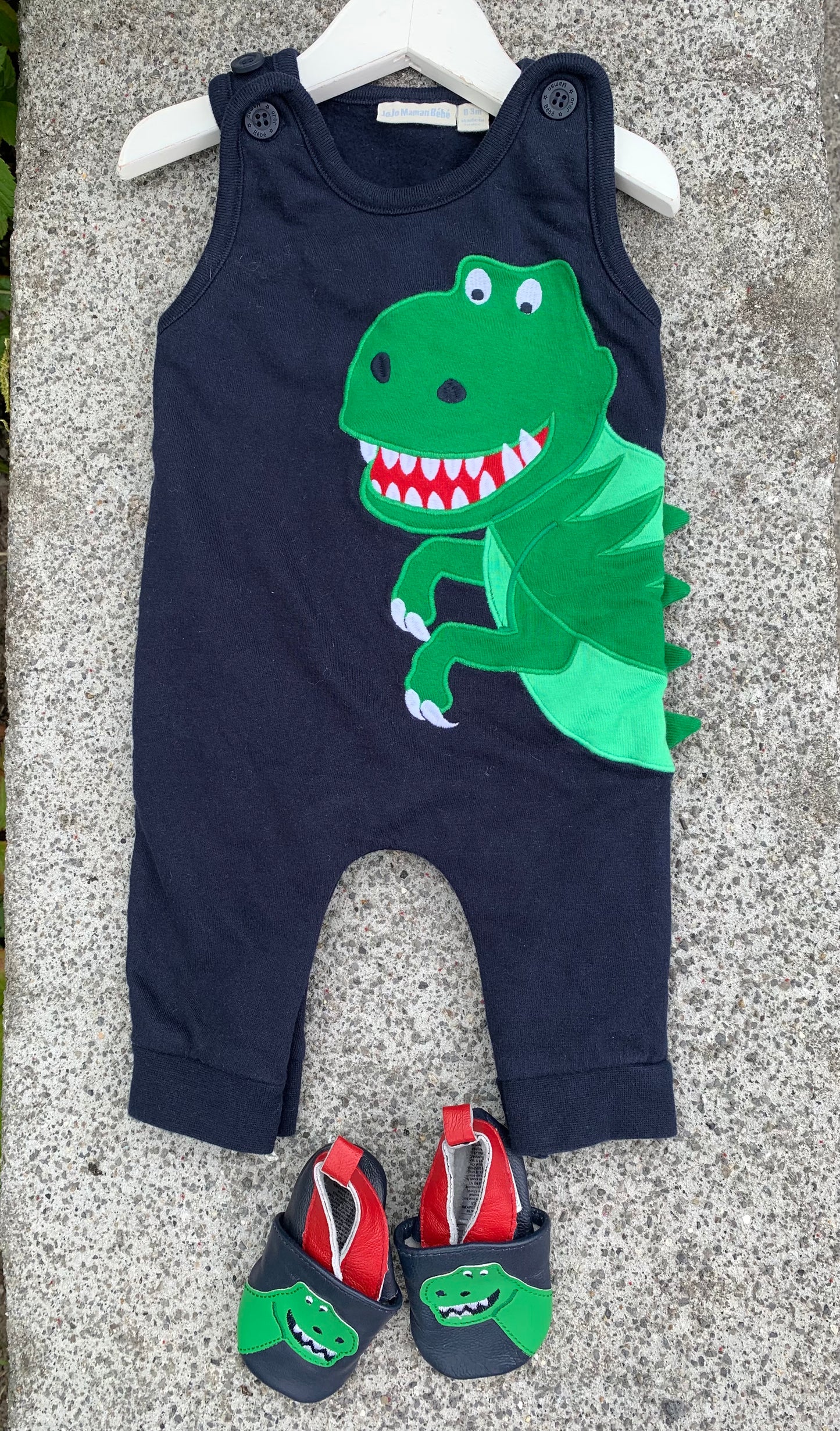 Dinosaur set  0-3m (56-62cm)