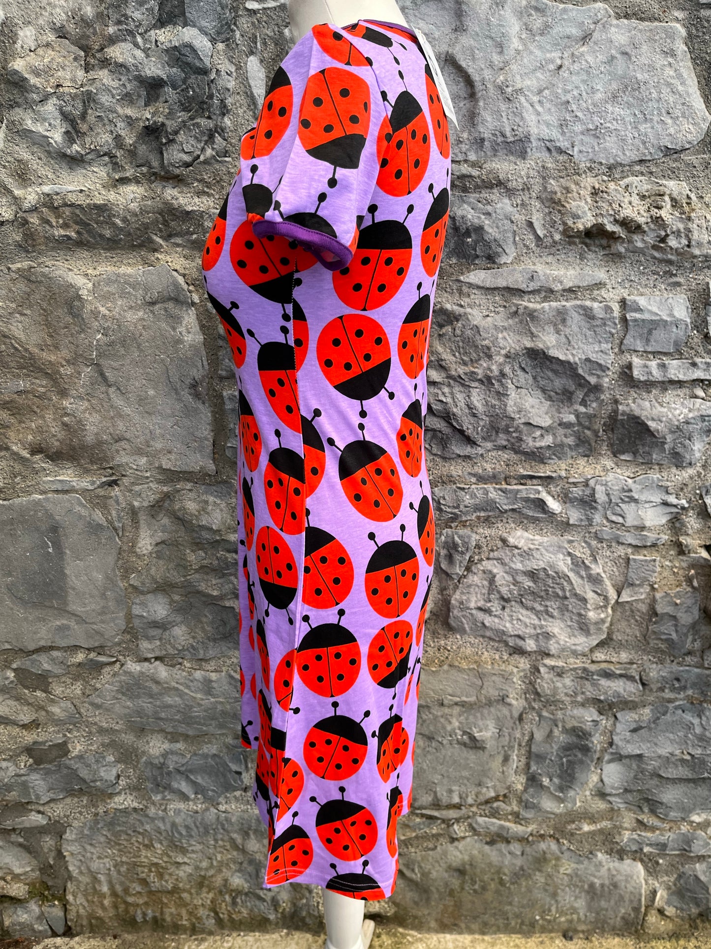 Ladybug dress   uk 6-8