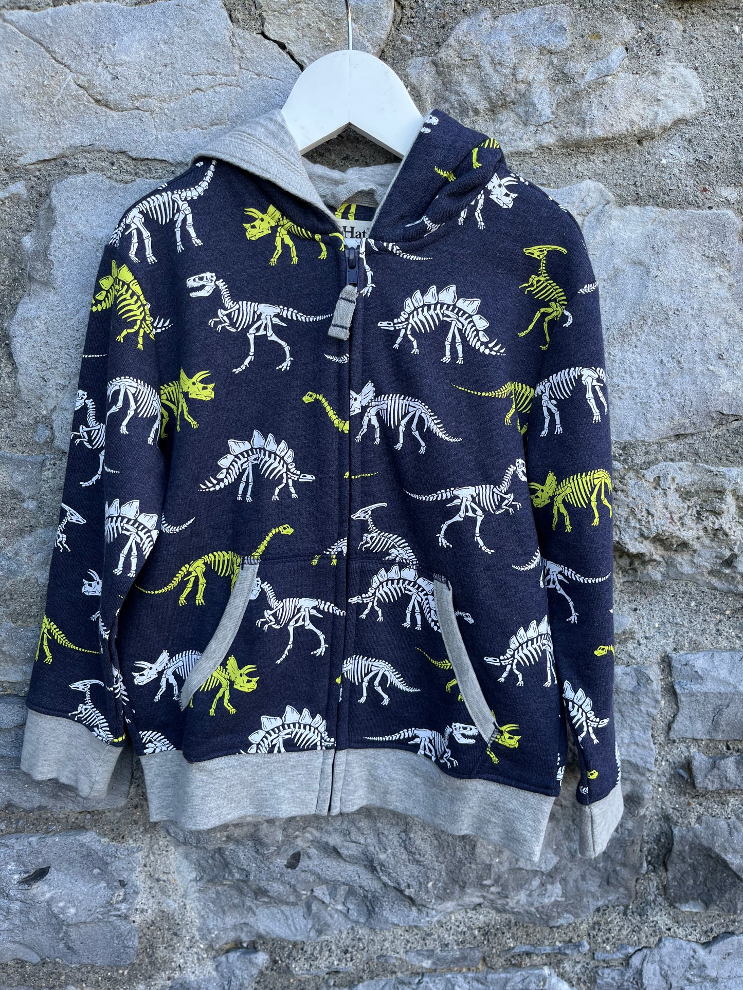 Dinosaurs hoodie   4-5y (104-110cm)