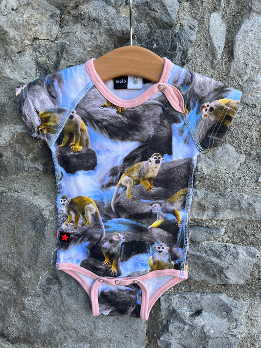 Monkeys vest   3m (62cm)