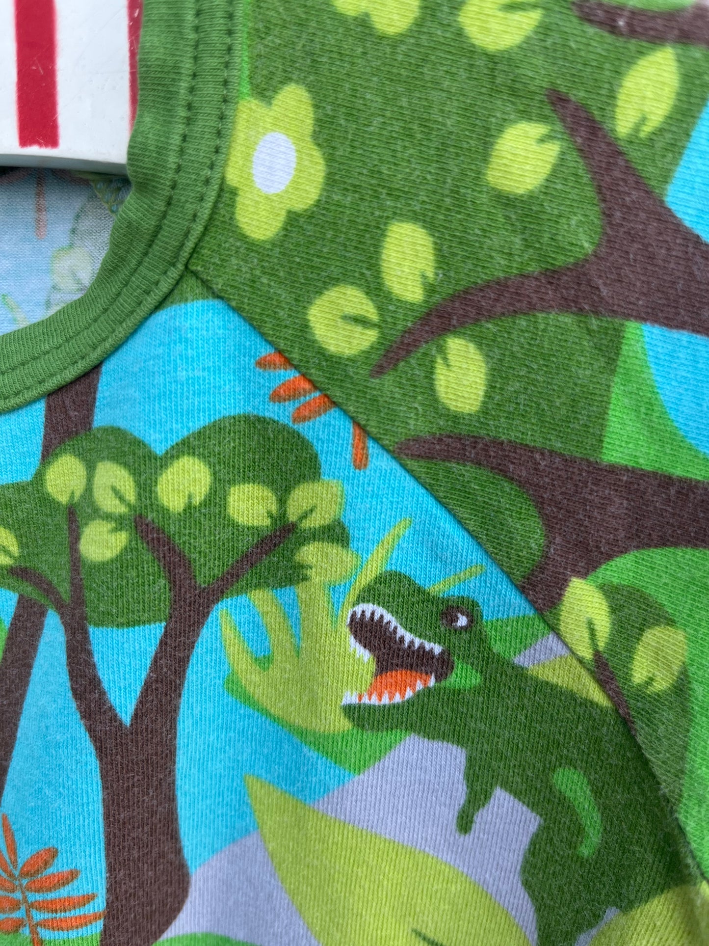 Dinosaurs T-shirt   9-12m (74-80cm)