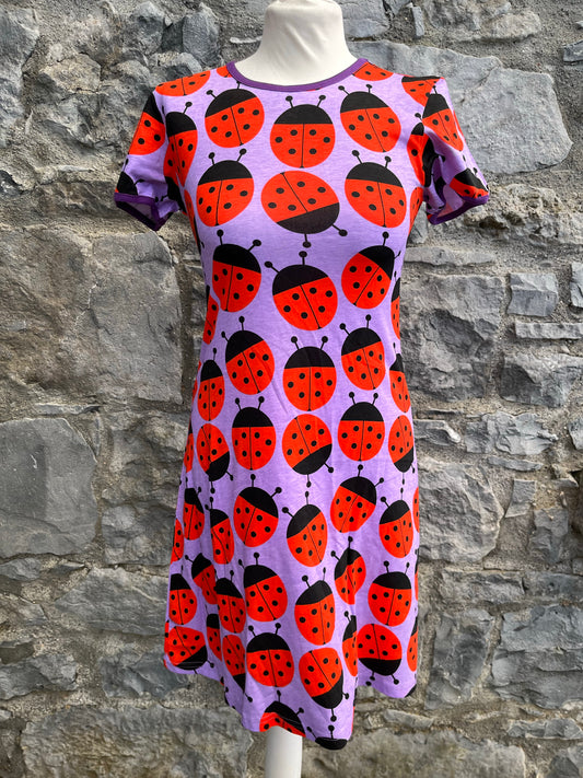 Ladybug dress   uk 6-8