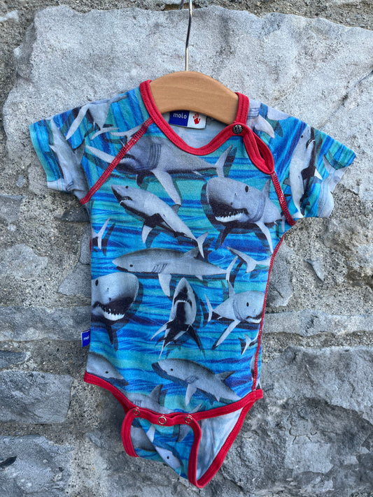 Sharks vest   9m (74cm)