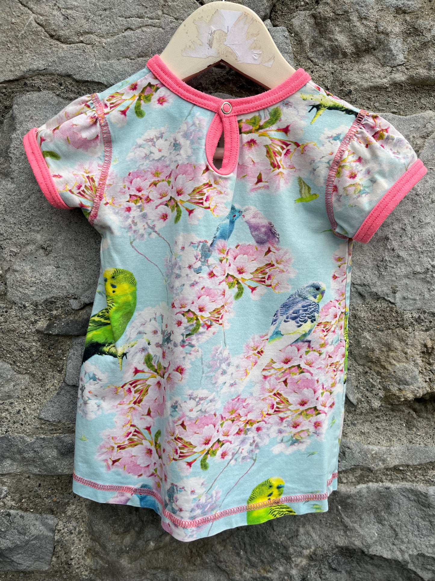 Parrots dress  9m (74cm)