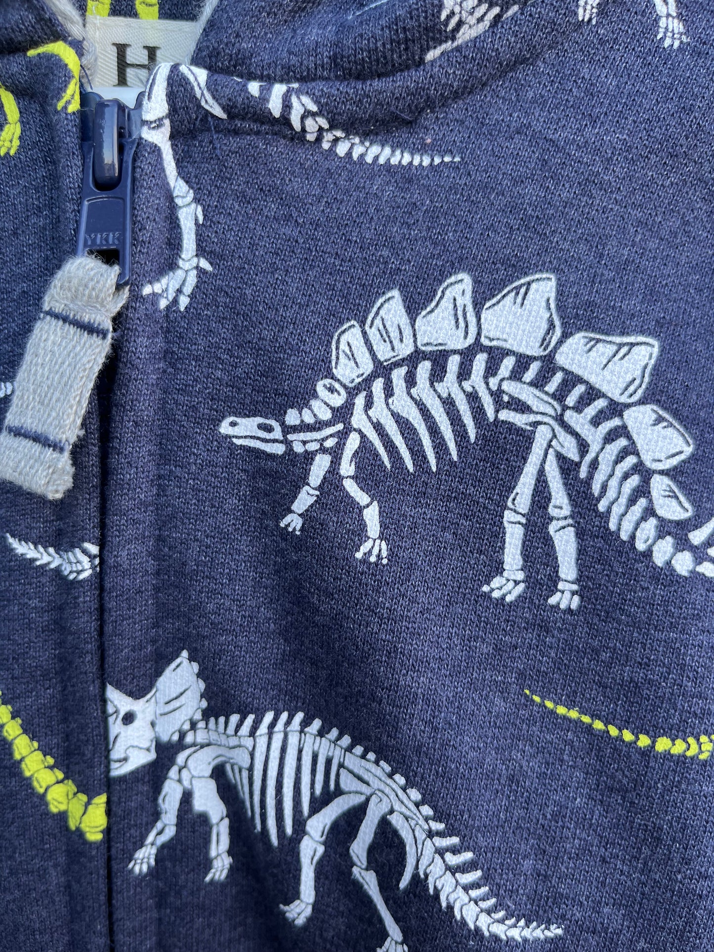 Dinosaurs hoodie   4-5y (104-110cm)