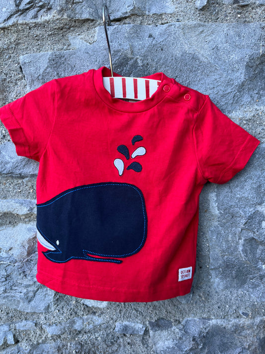 Whale T-shirt   6-9m (68-74cm)