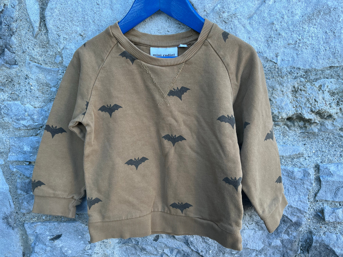 Bats sweatshirt   2-3y (92-98cm)