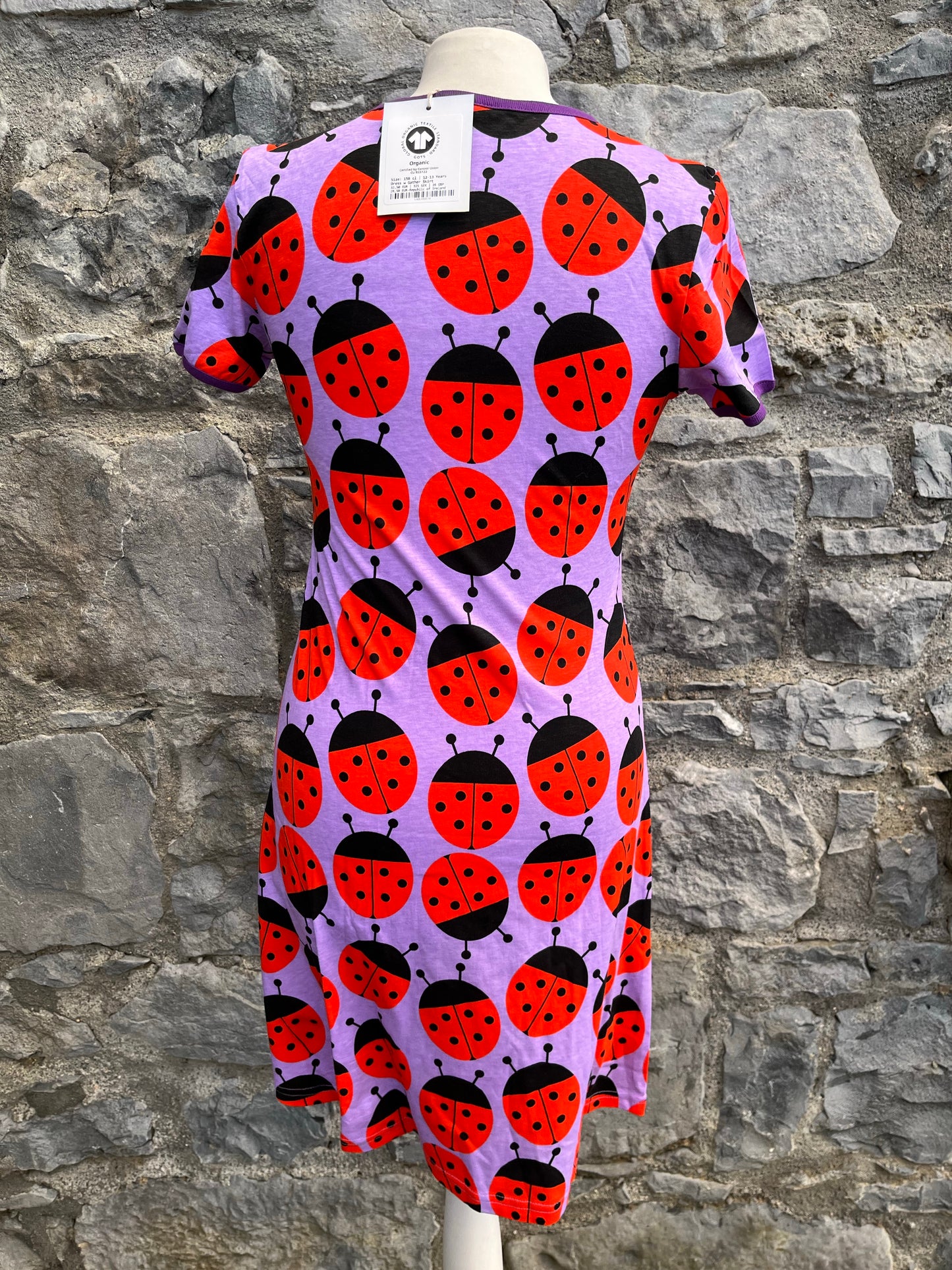 Ladybug dress   uk 6-8