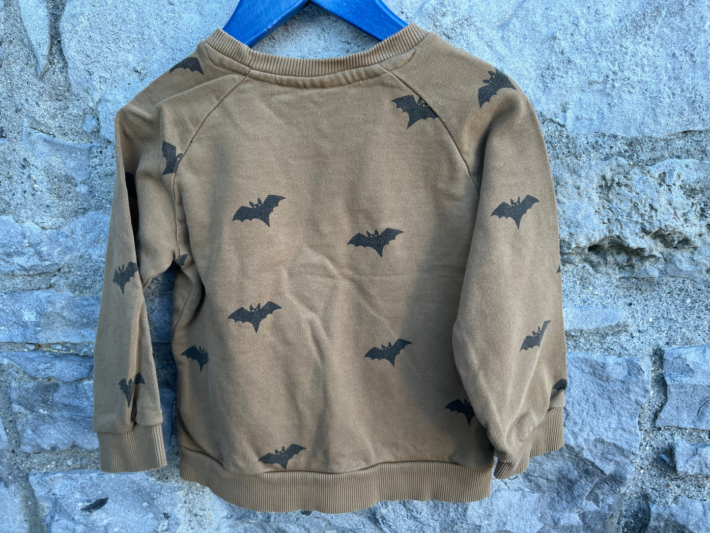 Bats sweatshirt   2-3y (92-98cm)