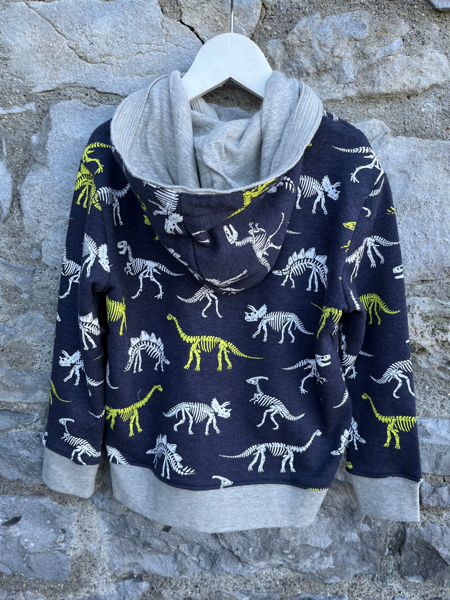 Dinosaurs hoodie   4-5y (104-110cm)