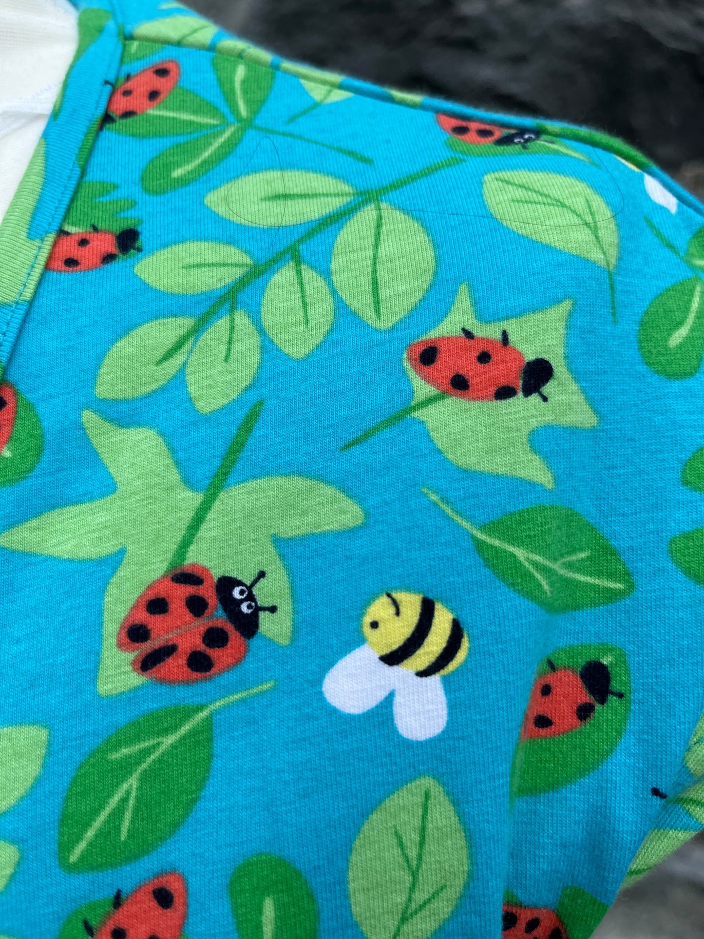 Ladybug dress   uk 10-12