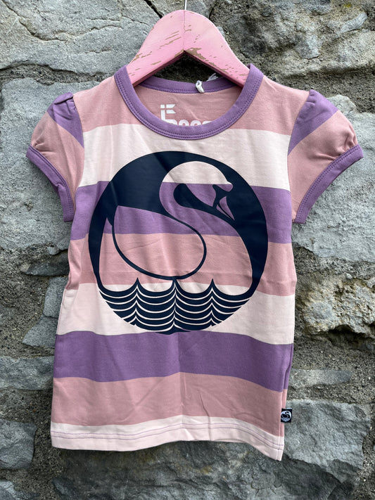 Purple stripy swan top   2-3y (92-98cm)