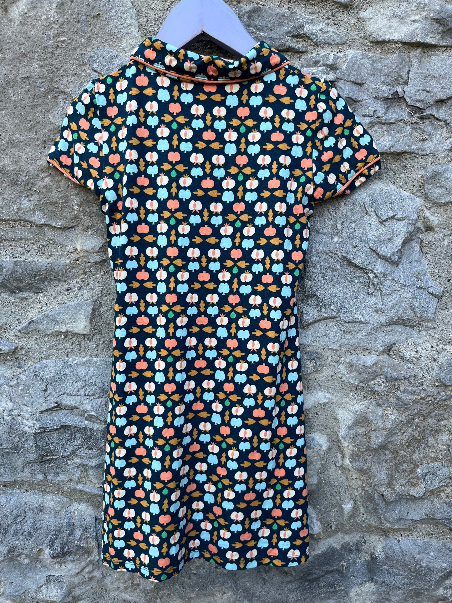 Apples dress   6y (116cm)