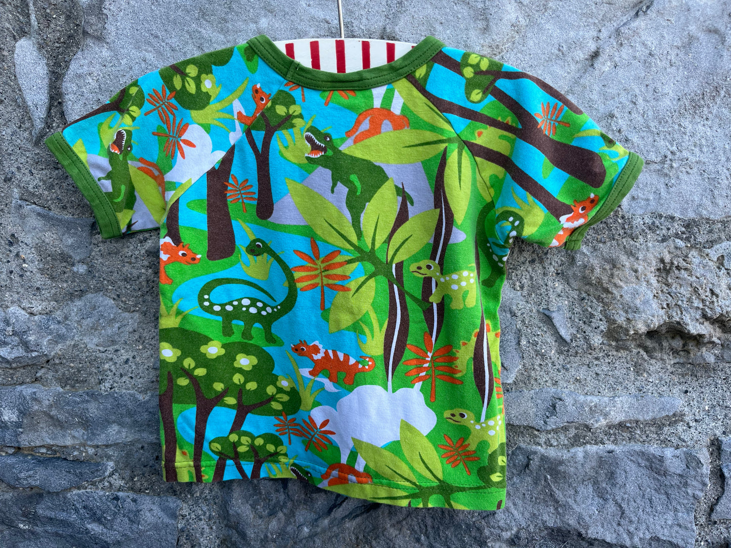 Dinosaurs T-shirt   9-12m (74-80cm)