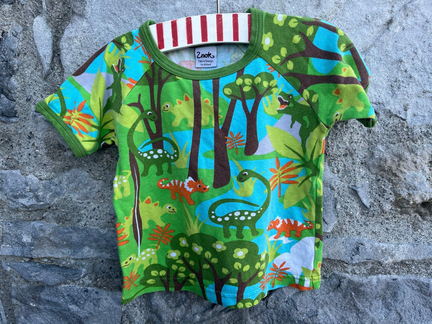 Dinosaurs T-shirt   9-12m (74-80cm)