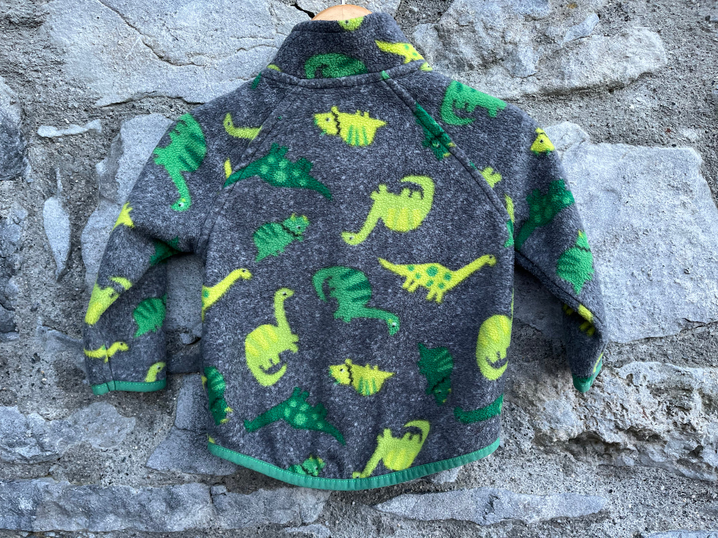 Dinosaurs fleece   6-9m (68-74cm)