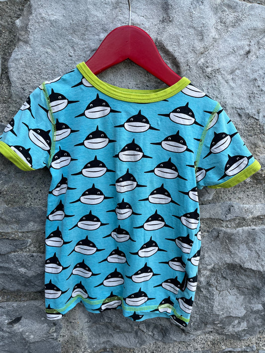 Shark T-shirt   3-4y (98-104cm)